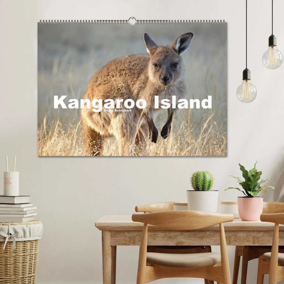 Bild: 9783516224733 | Kangaroo Island (Wandkalender 2026 DIN A2 quer), CALVENDO...