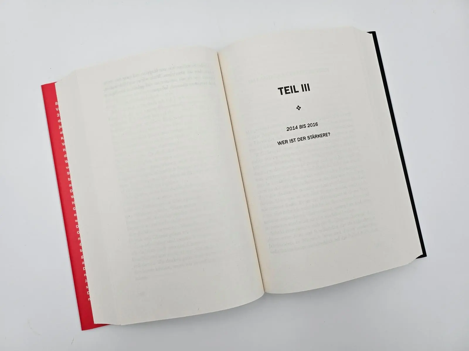 Bild: 9783827014733 | Brennende Fragen | Margaret Atwood | Buch | 704 S. | Deutsch | 2023