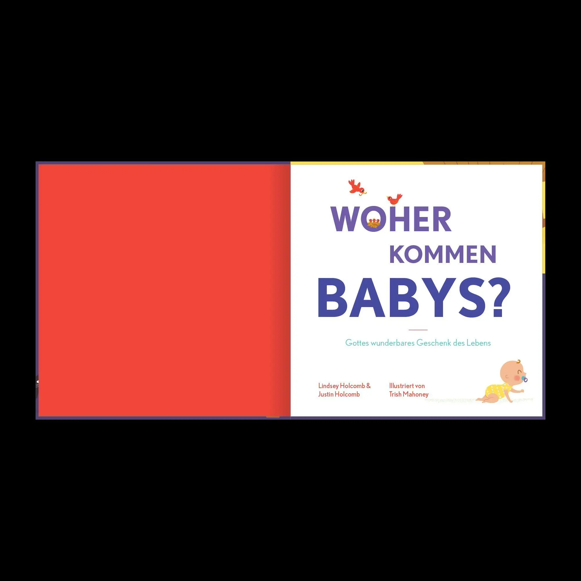 Bild: 9783986654733 | Woher kommen Babys? | Gottes wunderbares Geschenk des Lebens | Buch