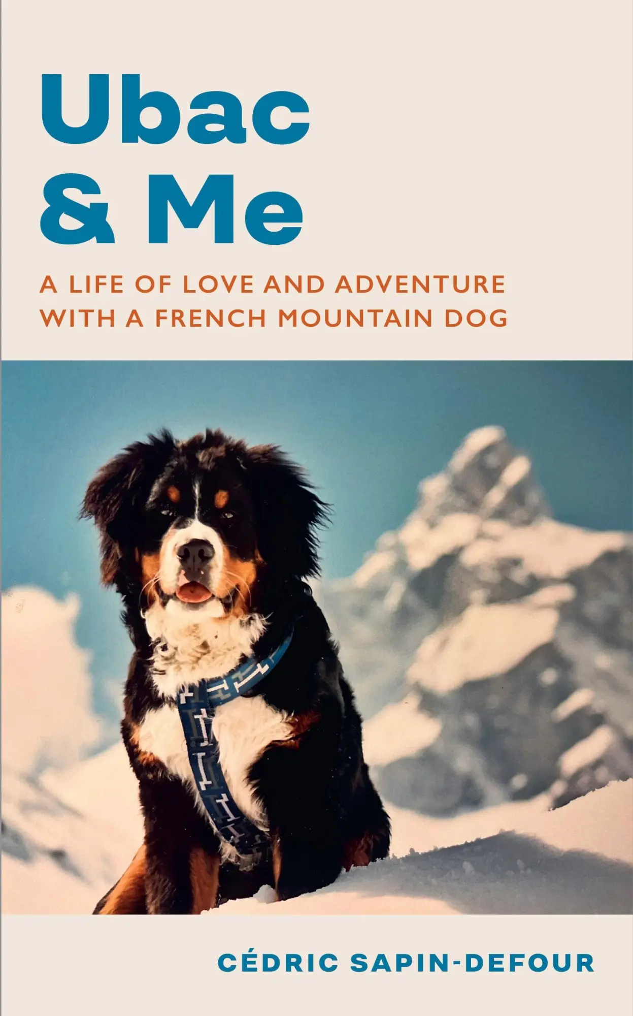 Cover: 9781787304833 | Ubac and Me | A Life of Love and Adventure With a French Mountain Dog