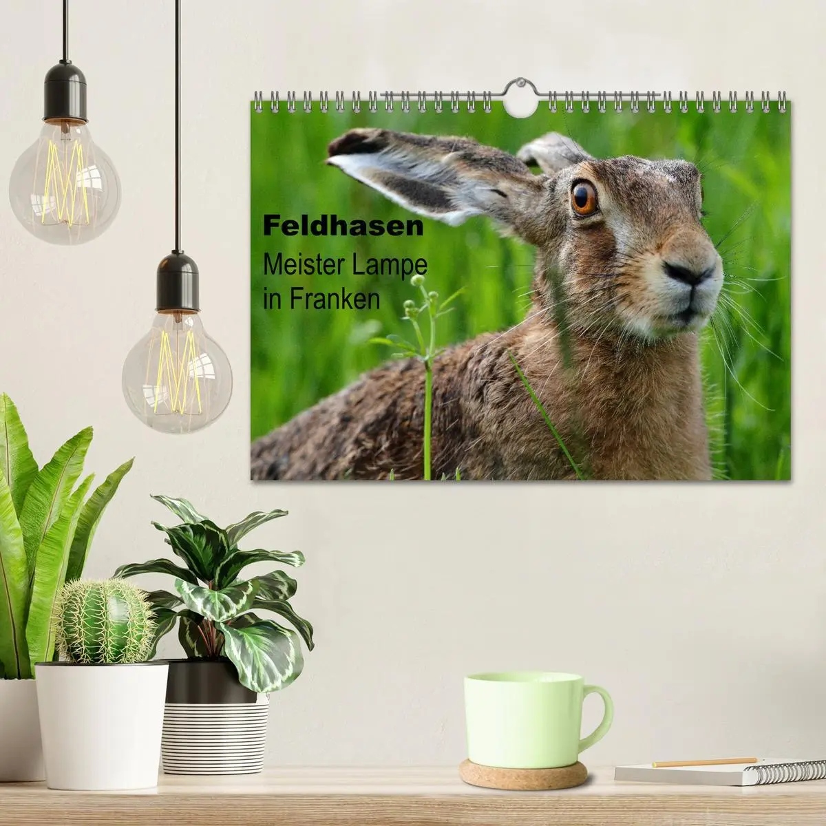 Bild: 9783435724833 | Feldhasen - Meister Lampe in Franken (Wandkalender 2025 DIN A4...