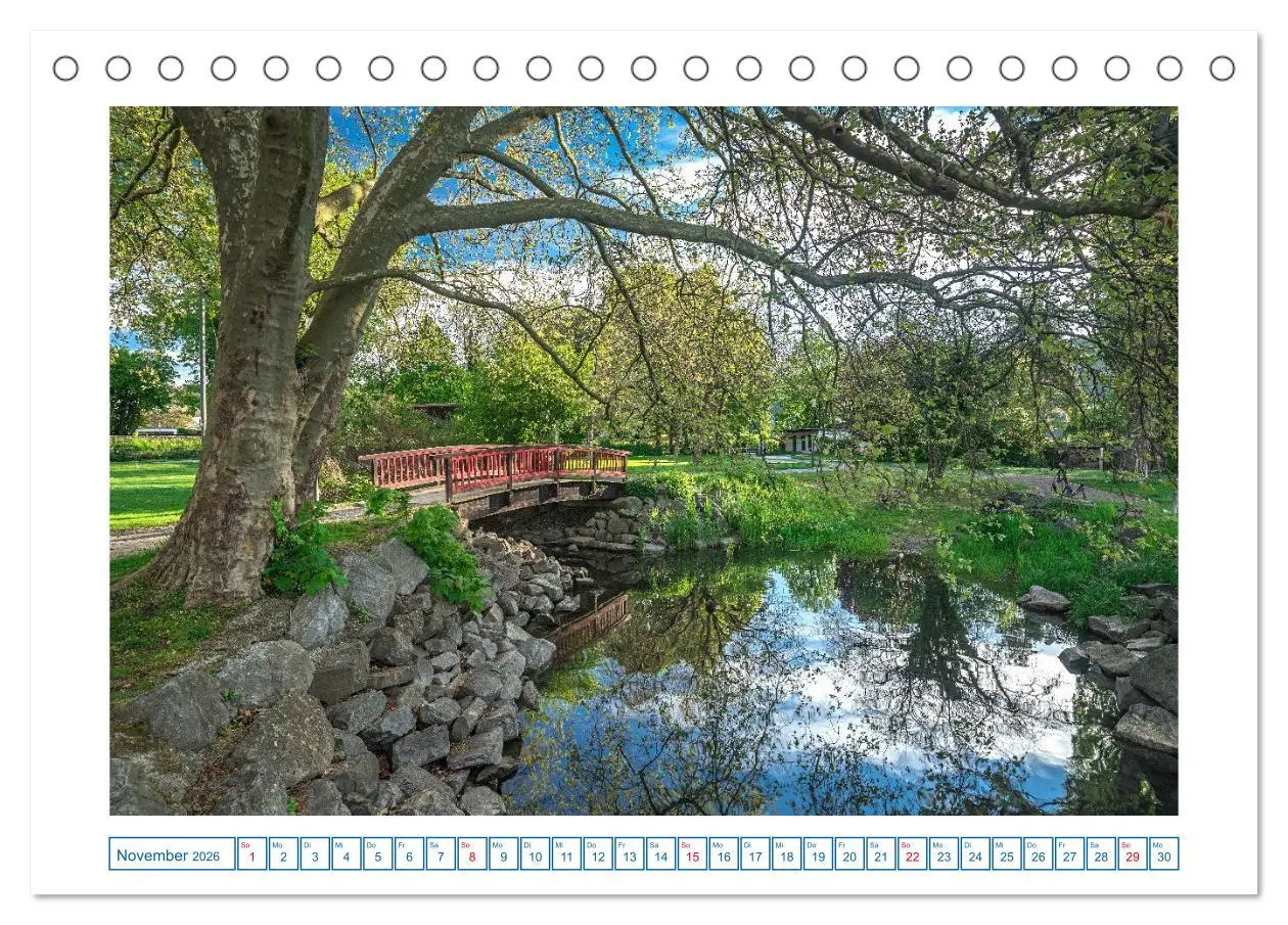 Bild: 9783457294833 | Ludwigshafen am Bodensee (Tischkalender 2026 DIN A5 quer), CALVENDO...