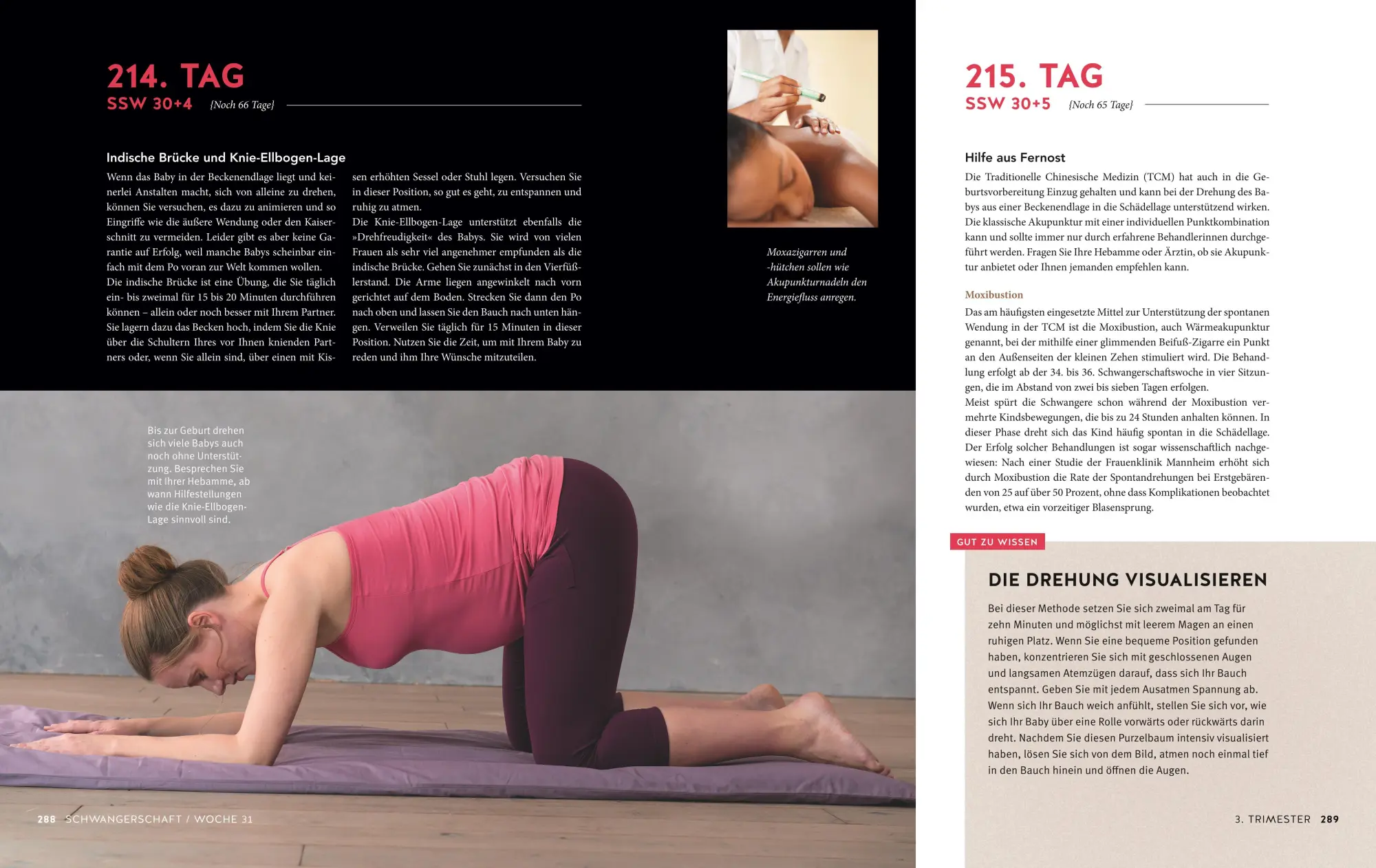 Bild: 9783833874833 | Tag für Tag durch meine Schwangerschaft | Silvia Höfer (u. a.) | Buch