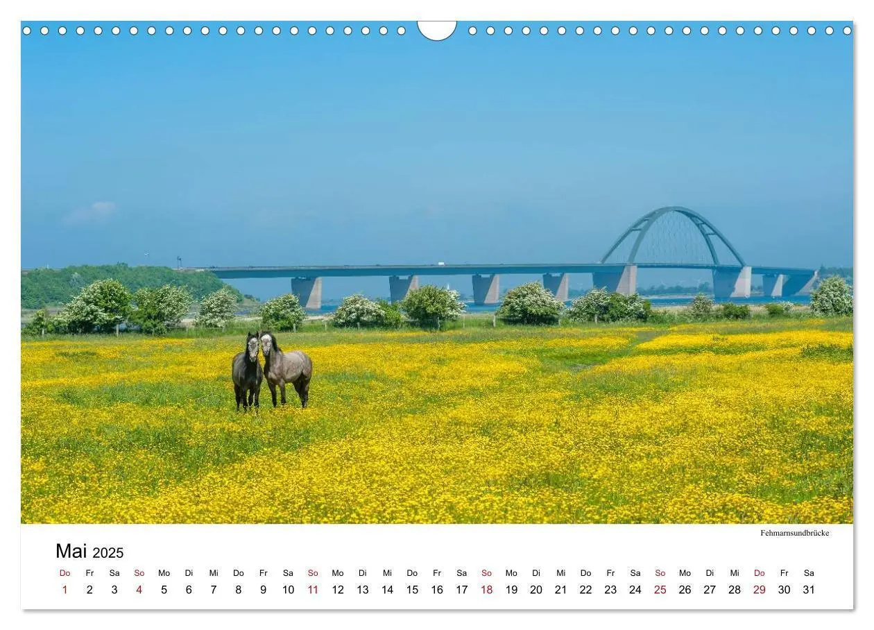 Bild: 9783435714933 | Fehmarn - "fe mer" natürlich "am Meer gelegen" (Wandkalender 2025...