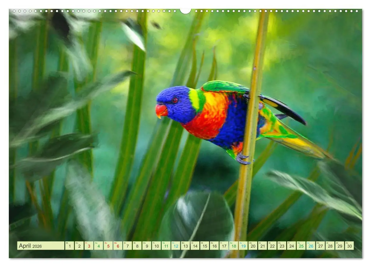Bild: 9783457424933 | Hallo Dschungel - Artwork (hochwertiger Premium Wandkalender 2026...