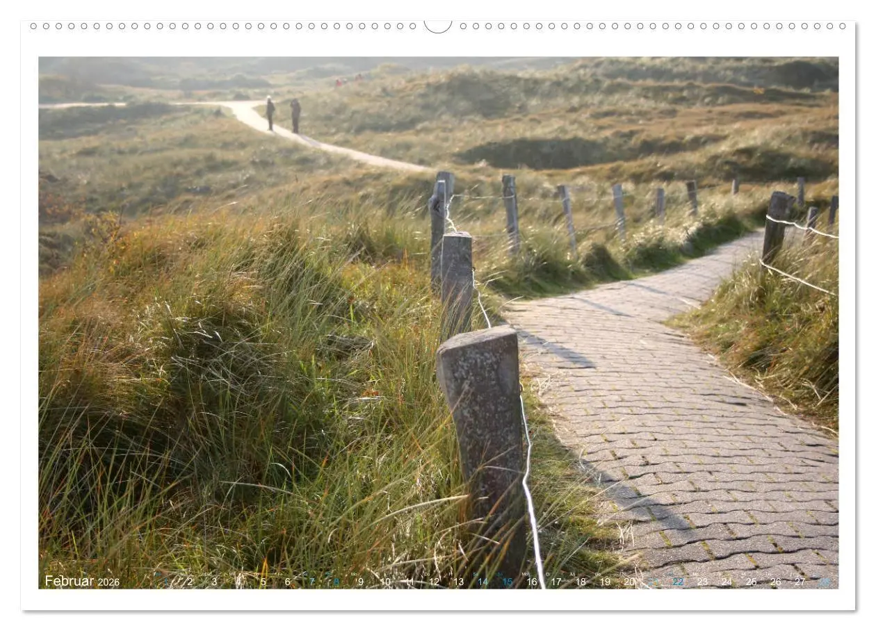 Bild: 9783457734933 | OP SPIEKEROOG (hochwertiger Premium Wandkalender 2026 DIN A2 quer),...