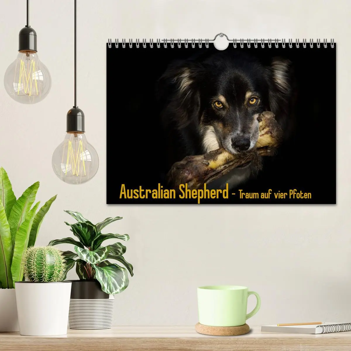 Bild: 9783516134933 | Australian Shepherd - Traum auf vier Pfoten (Wandkalender 2026 DIN...