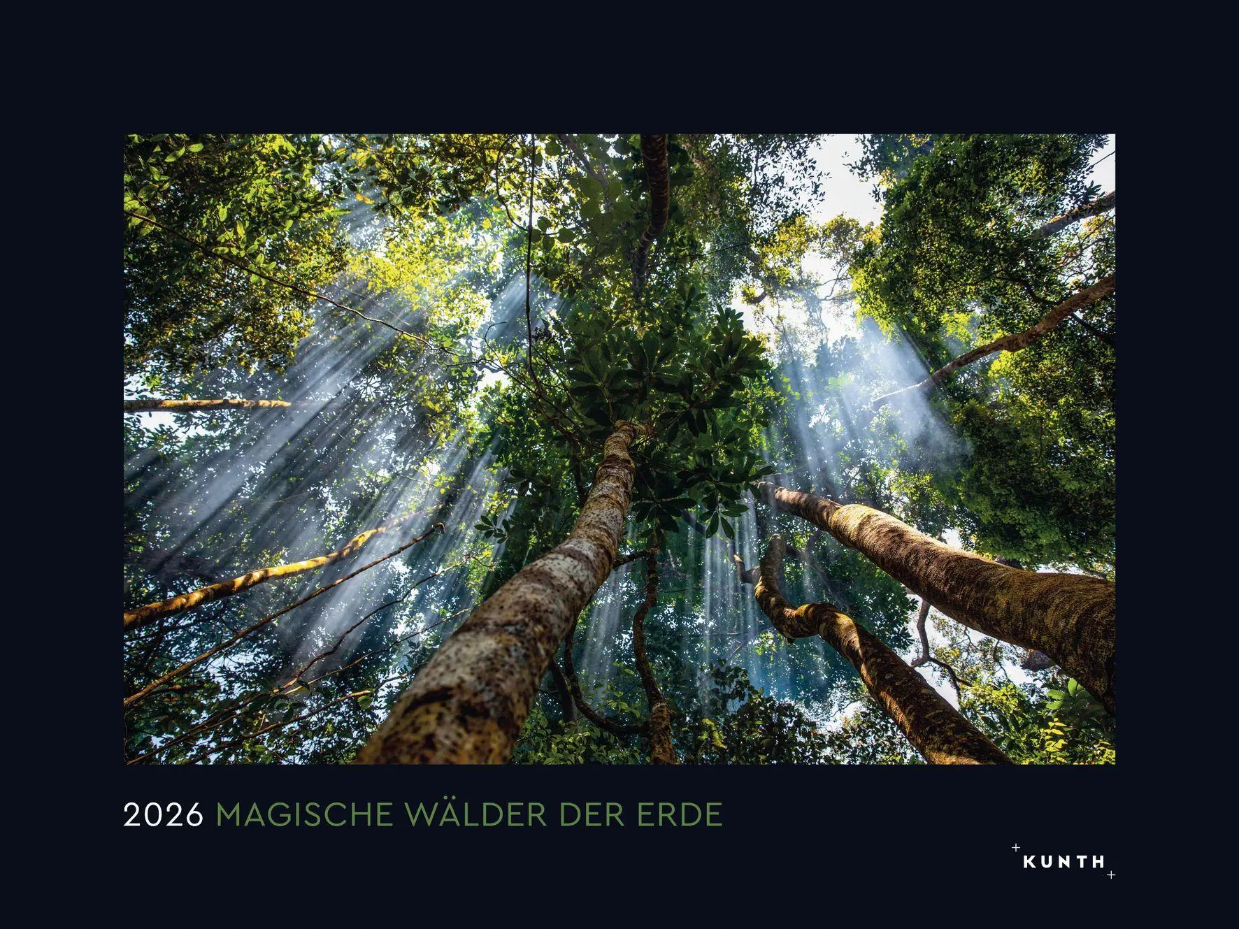 Cover: 9783965914933 | Magische Wälder der Erde - KUNTH Wandkalender 2026 | Kalender | 14 S.