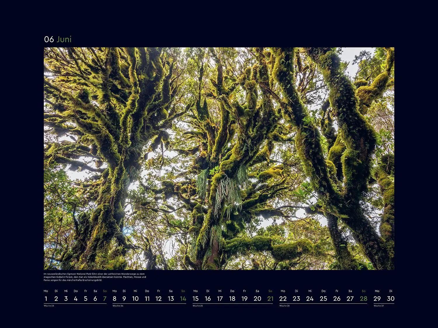 Bild: 9783965914933 | Magische Wälder der Erde - KUNTH Wandkalender 2026 | Kalender | 14 S.