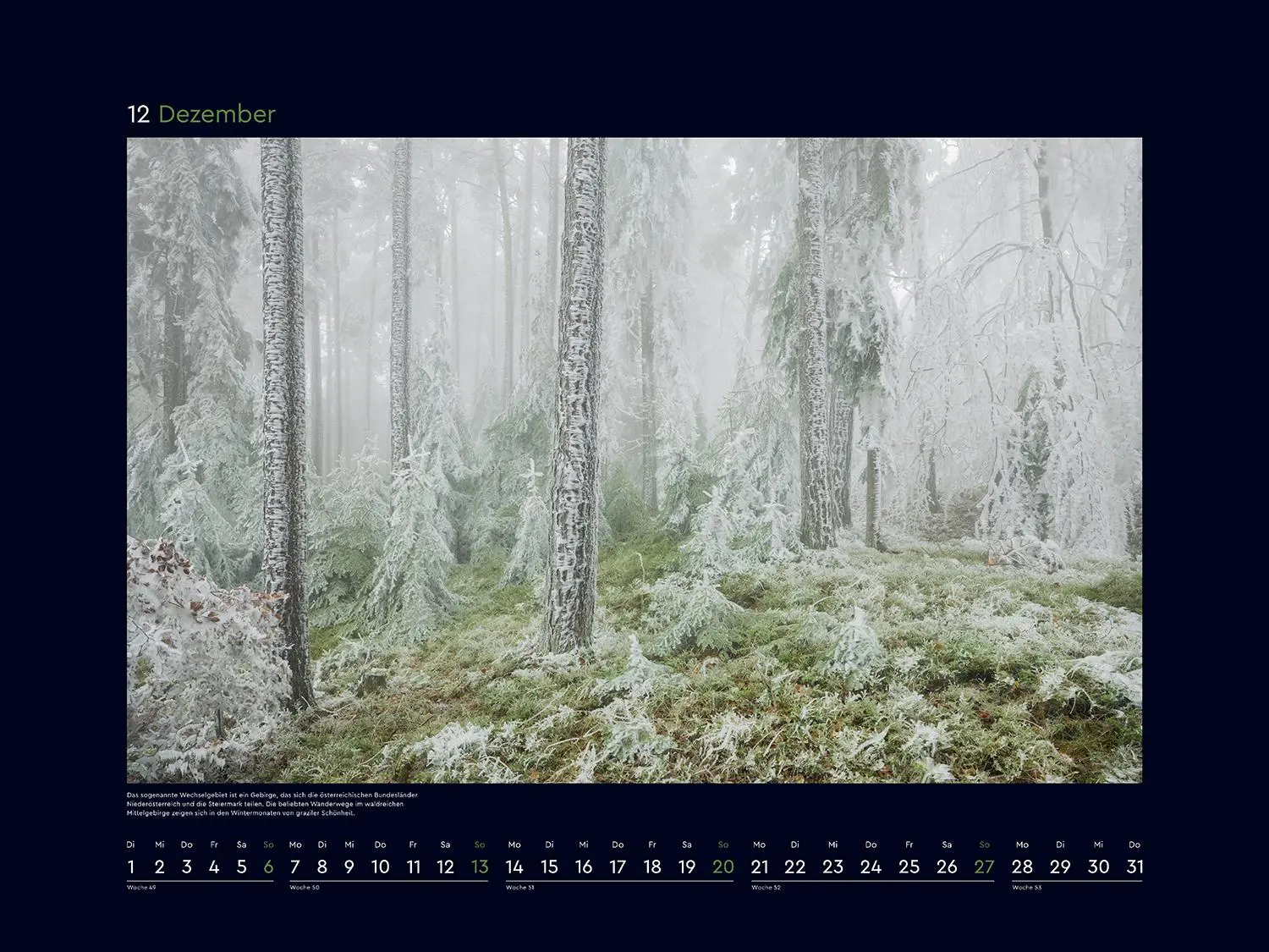 Bild: 9783965914933 | Magische Wälder der Erde - KUNTH Wandkalender 2026 | Kalender | 14 S.