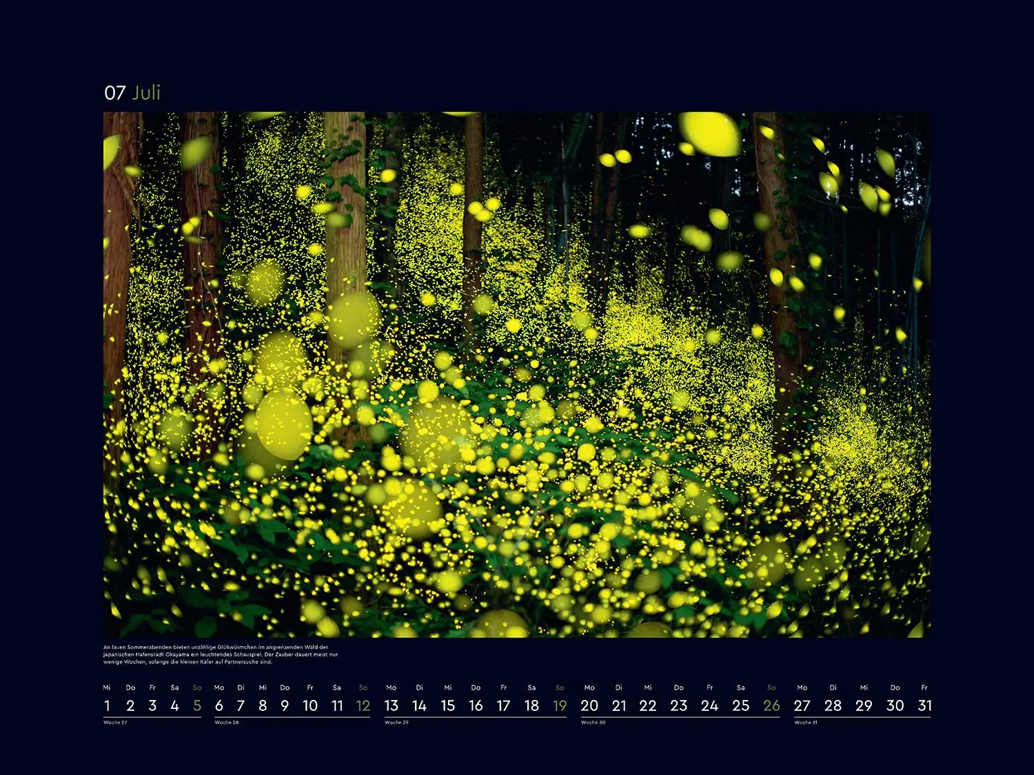 Bild: 9783965914933 | Magische Wälder der Erde - KUNTH Wandkalender 2026 | Kalender | 14 S.