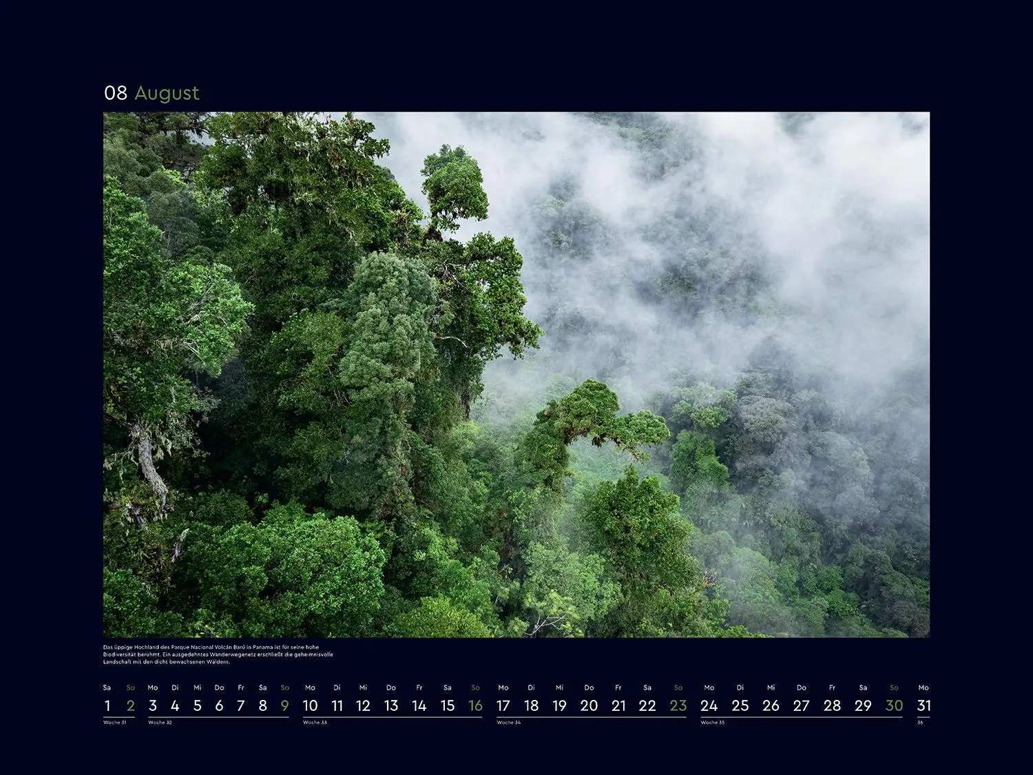 Bild: 9783965914933 | Magische Wälder der Erde - KUNTH Wandkalender 2026 | Kalender | 14 S.