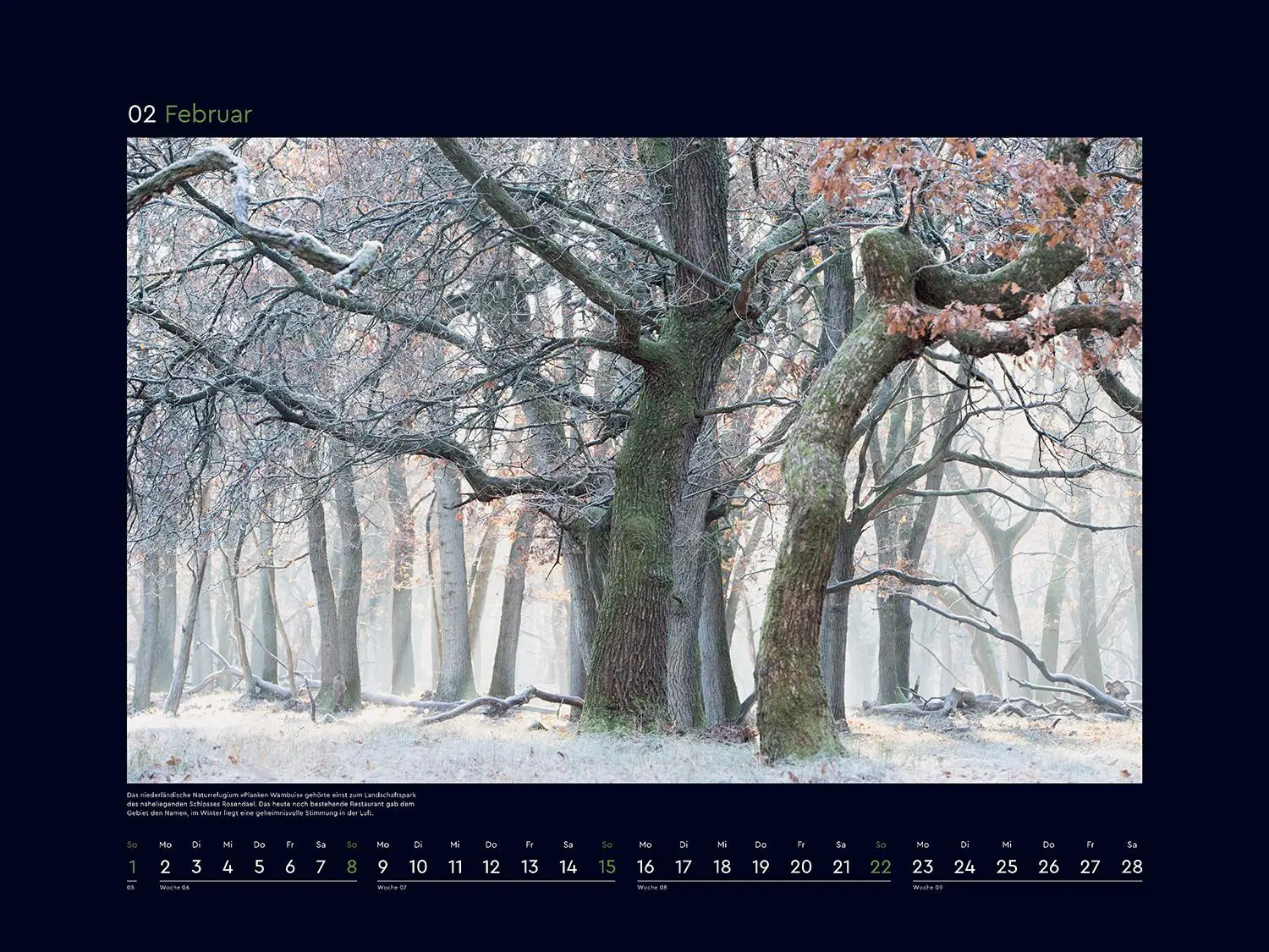 Bild: 9783965914933 | Magische Wälder der Erde - KUNTH Wandkalender 2026 | Kalender | 14 S.
