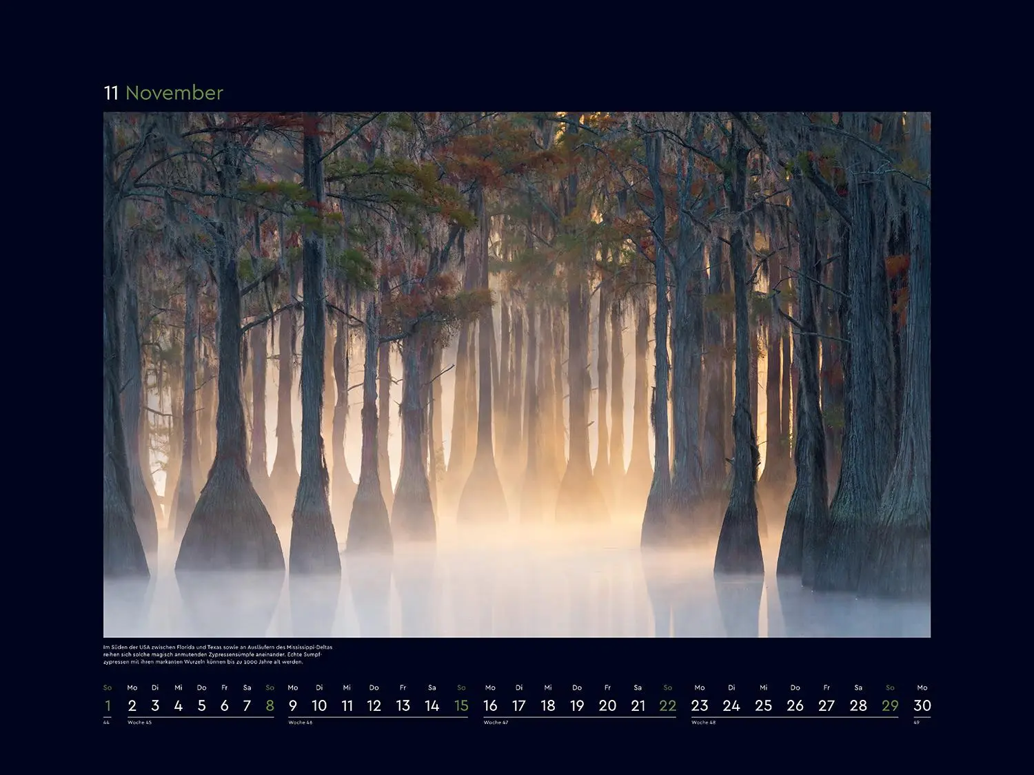 Bild: 9783965914933 | Magische Wälder der Erde - KUNTH Wandkalender 2026 | Kalender | 14 S.