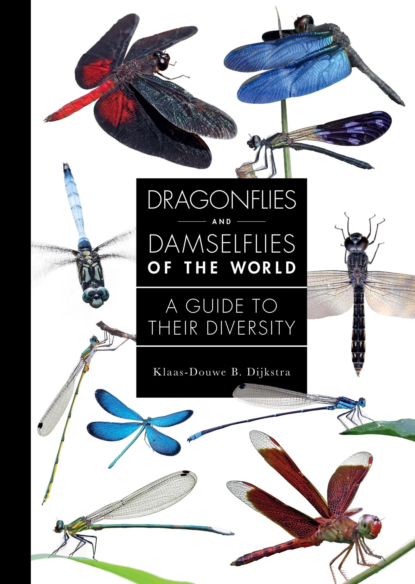 Cover: 9780691255033 | Dragonflies and Damselflies of the World | A Guide to Their Diversity