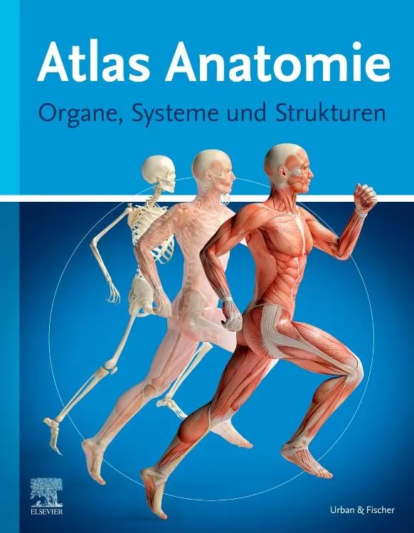 Cover: 9783437445033 | Atlas Anatomie | Organe, Systeme und Strukturen | Elsevier GmbH | Buch