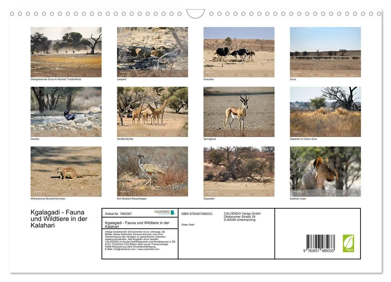 Bild: 9783457485033 | Kgalagadi - Fauna und Wildtiere in der Kalahari (Wandkalender 2026...