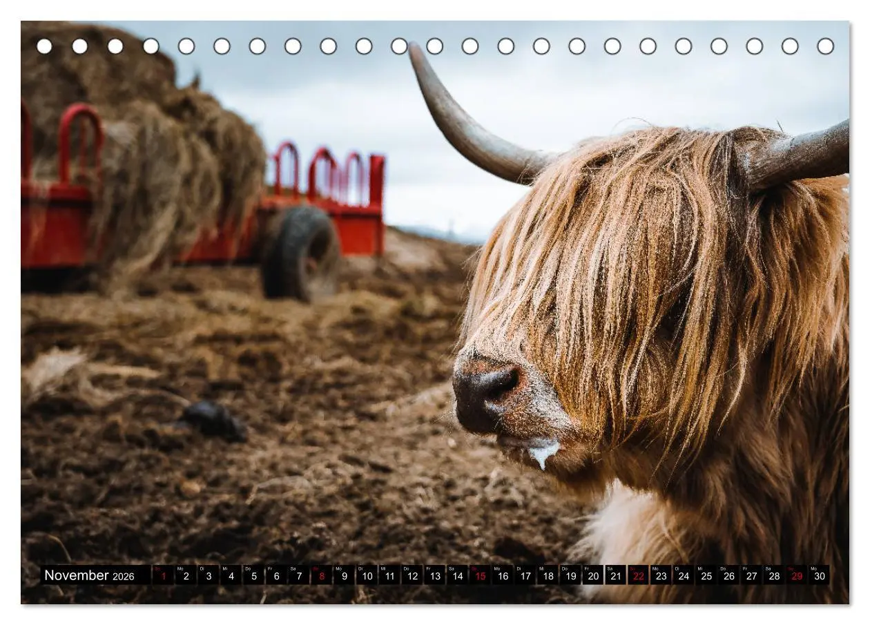 Bild: 9783457795033 | Isle of Skye - so schön kann schlechtes Wetter sein (Tischkalender...