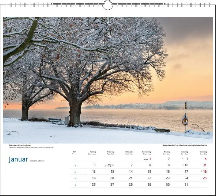 Bild: 9783861925033 | Malerischer Bodensee 2026 | Holger Spiering | Kalender | Spiralbindung