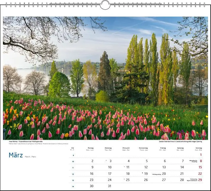 Bild: 9783861925033 | Malerischer Bodensee 2026 | Holger Spiering | Kalender | Spiralbindung