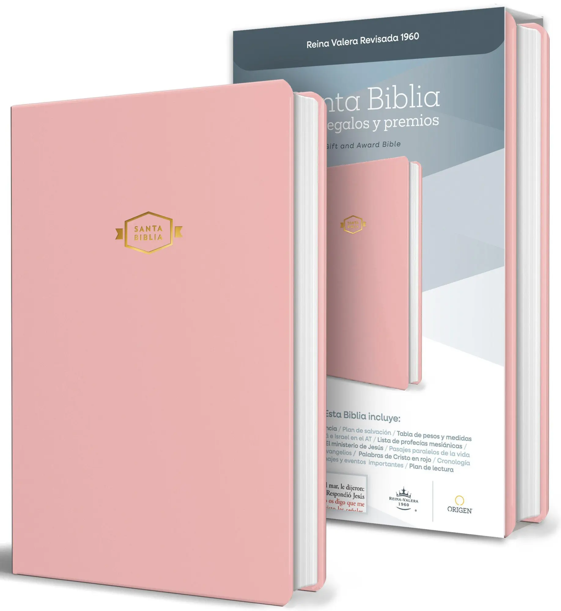 Cover: 9798890985033 | Biblia Rvr 1960 Para Regalos Y Premios, Rosada / Spanish Bible Rvr...