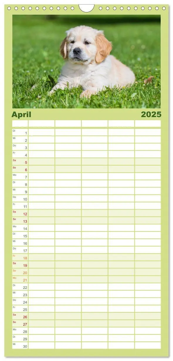 Bild: 9783457095133 | Familienplaner 2025 - Goldige Aussichten - Mit Golden Retriever...