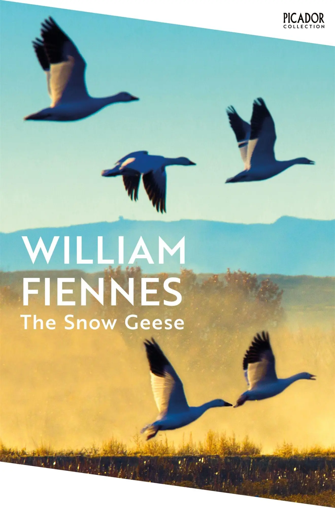 Cover: 9781035065233 | The Snow Geese | The award-winning nature writing classic | Fiennes
