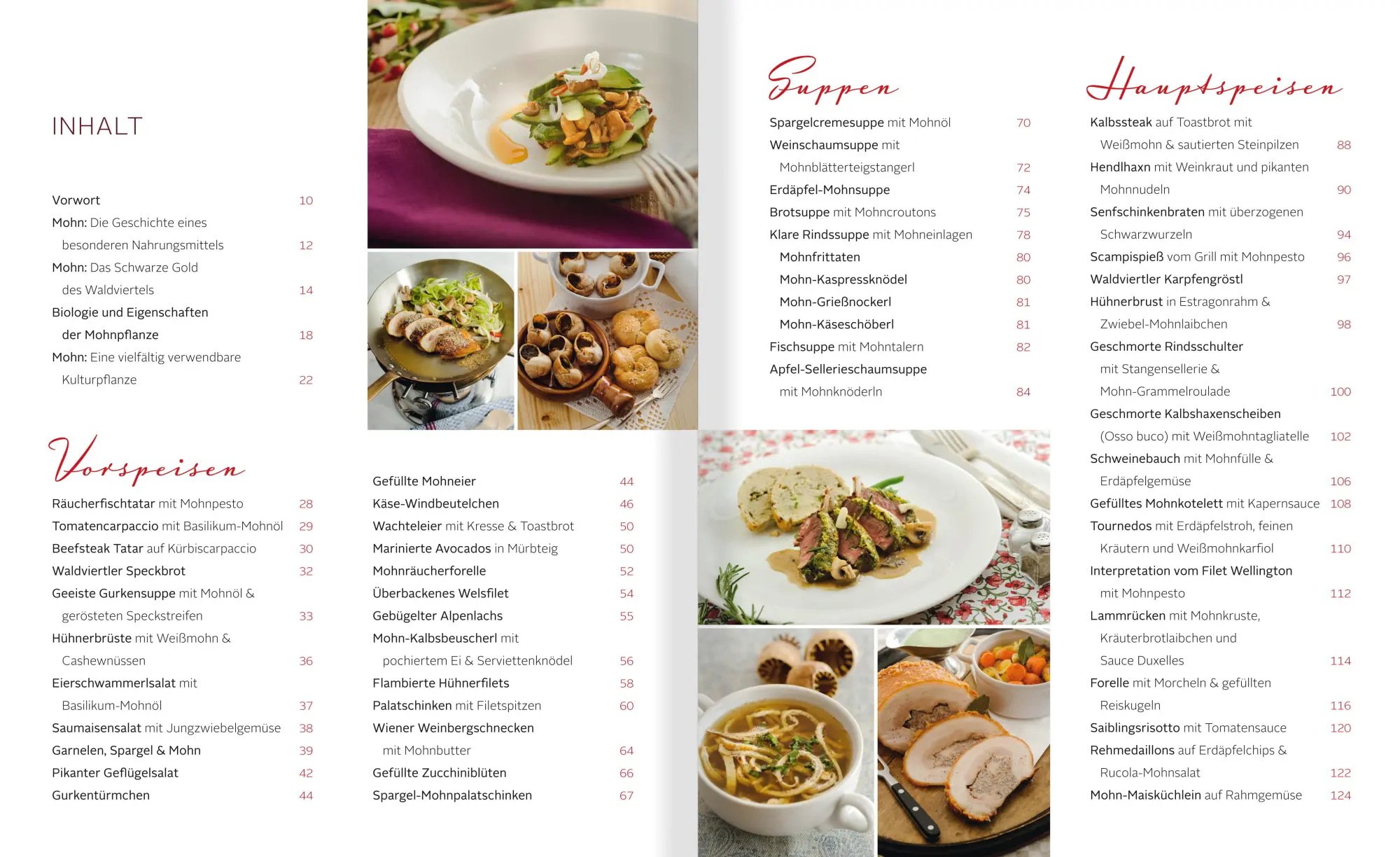 Bild: 9783706625333 | Mohn-Kochbuch | Die ganze Rezeptvielfalt von süß bis pikant | Buch