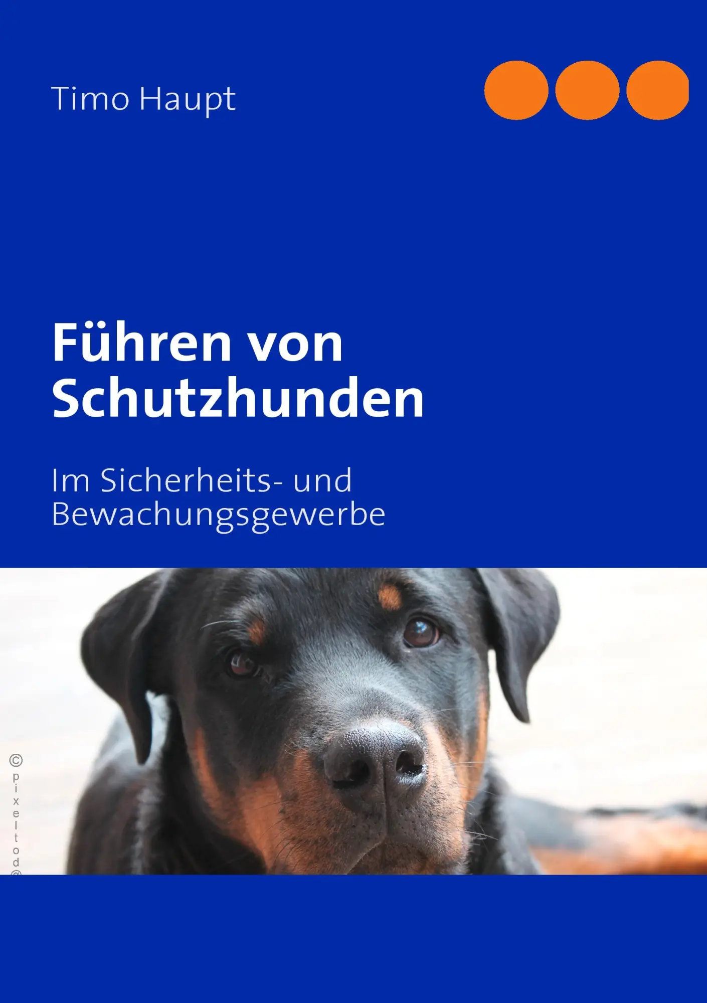 Cover: 9783842325333 | Führen von Schutzhunden | Timo Haupt | Taschenbuch | 116 S. | Deutsch