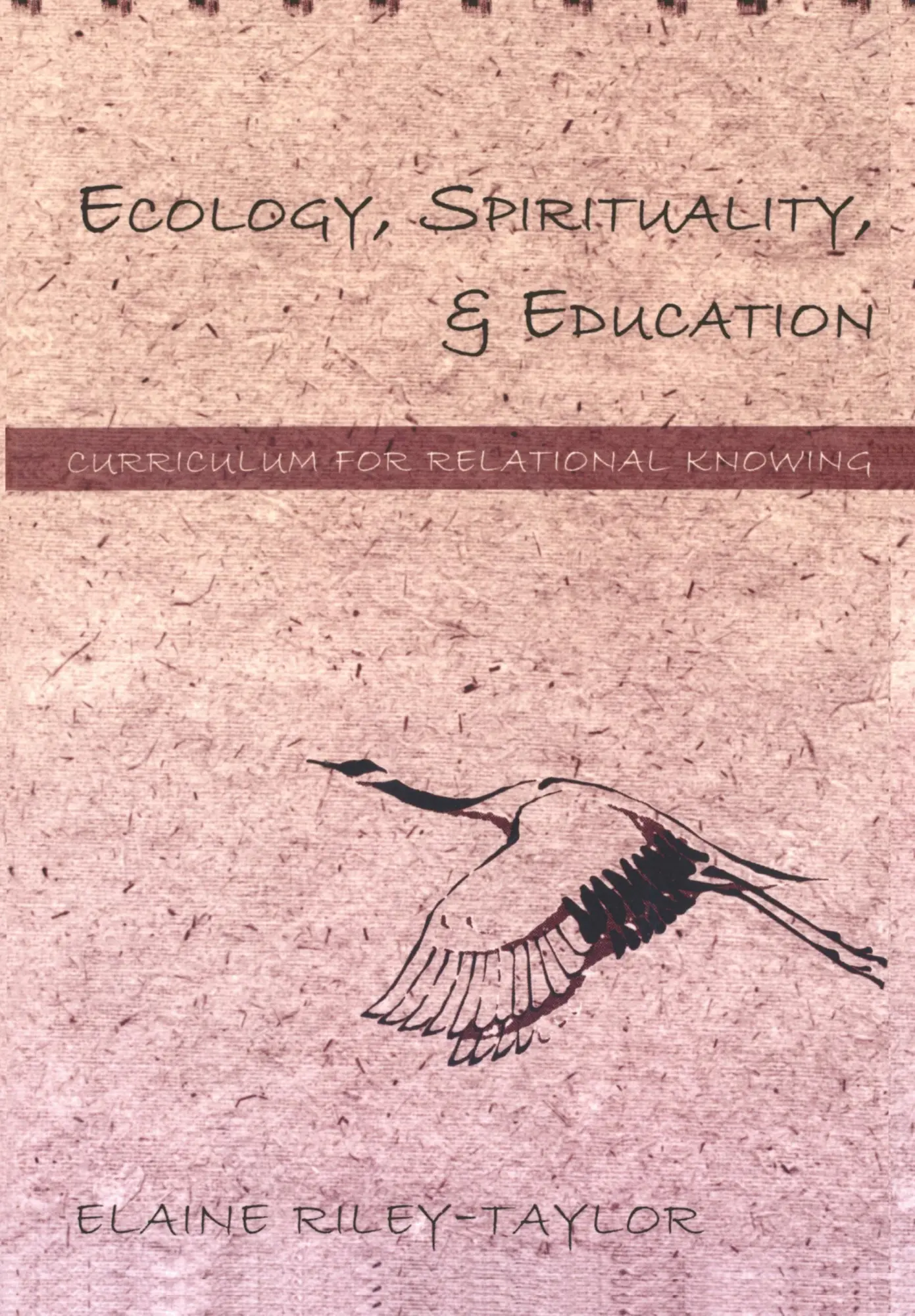 Cover: 9780820455433 | Ecology, Spirituality, and Education | Elaine Riley-Taylor | Buch