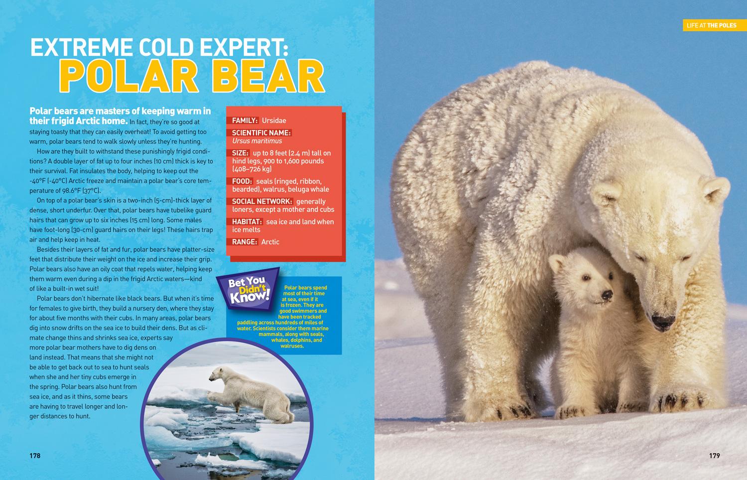 Bild: 9781426335433 | Ultimate Weatherpedia | National Geographic Kids (u. a.) | Buch | 2019