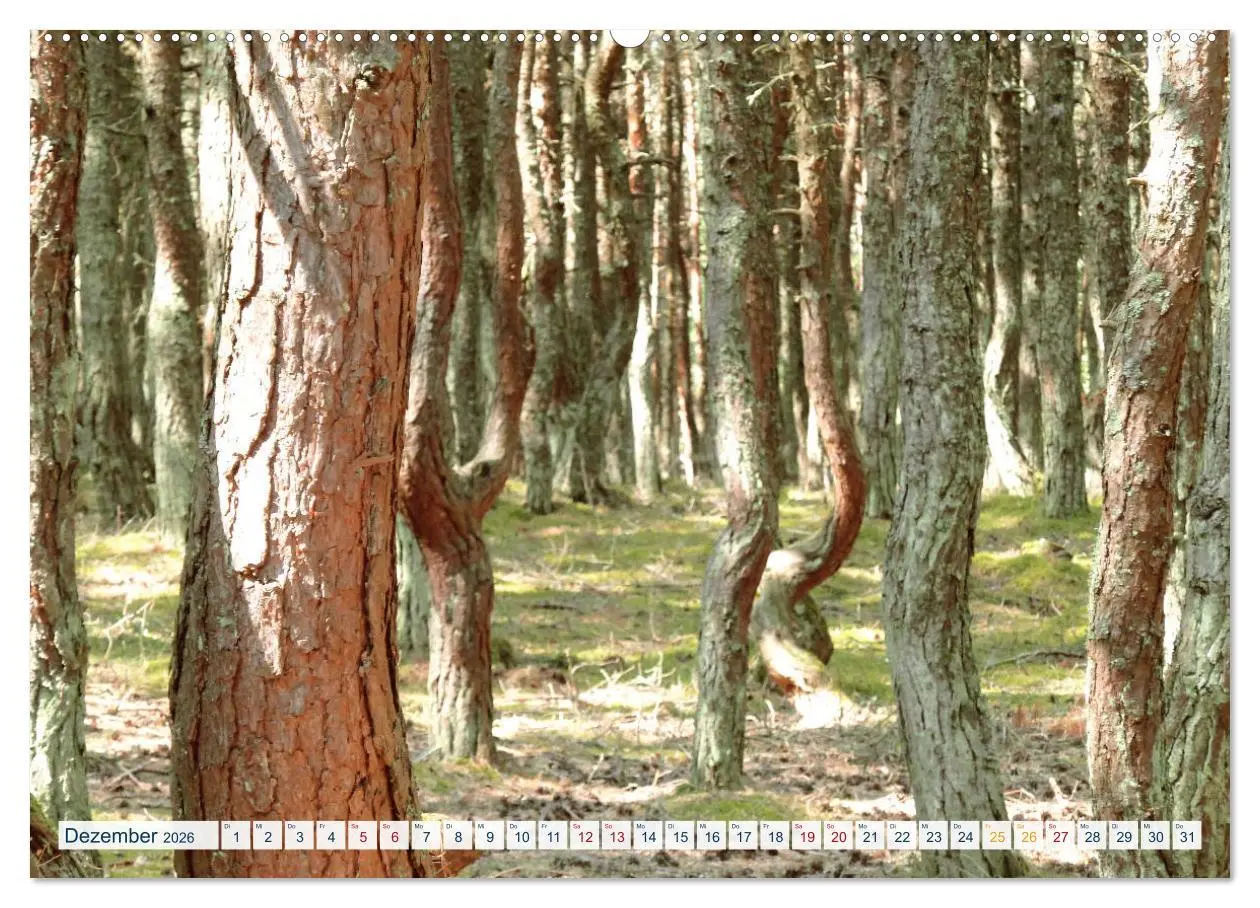 Bild: 9783457685433 | Kurische Nehrung: am längsten Ostsee-Strand (hochwertiger Premium...