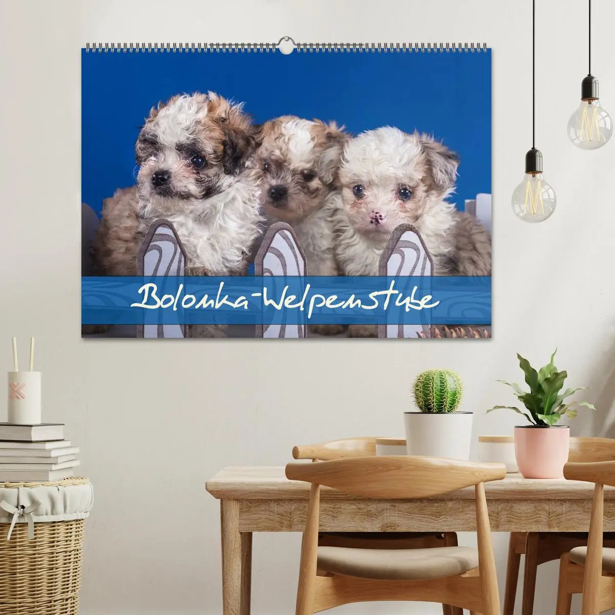 Bild: 9783516155433 | Bolonka Welpenstube (Wandkalender 2026 DIN A2 quer), CALVENDO...