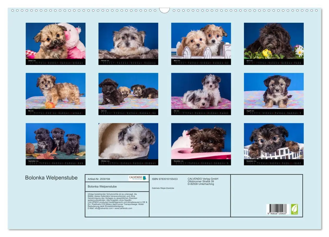 Bild: 9783516155433 | Bolonka Welpenstube (Wandkalender 2026 DIN A2 quer), CALVENDO...
