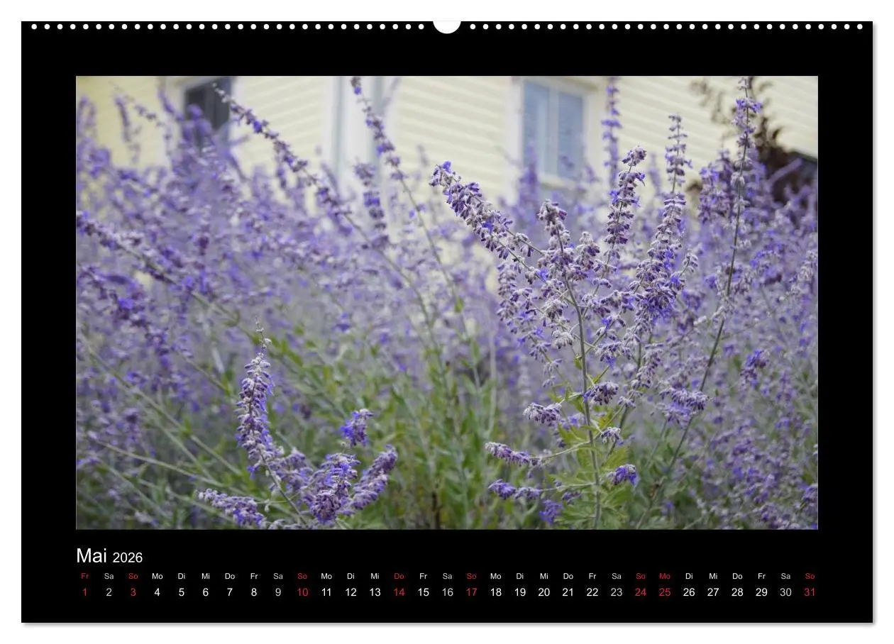 Bild: 9783516225433 | Nova Scotia &amp; Prince Edward Island (Wandkalender 2026 DIN A2 quer),...
