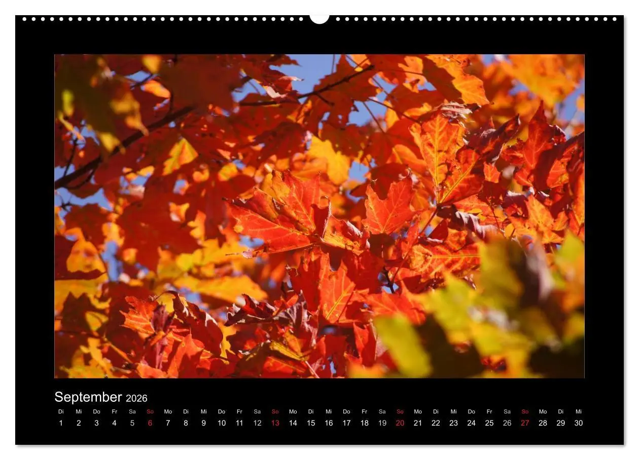 Bild: 9783516225433 | Nova Scotia &amp; Prince Edward Island (Wandkalender 2026 DIN A2 quer),...