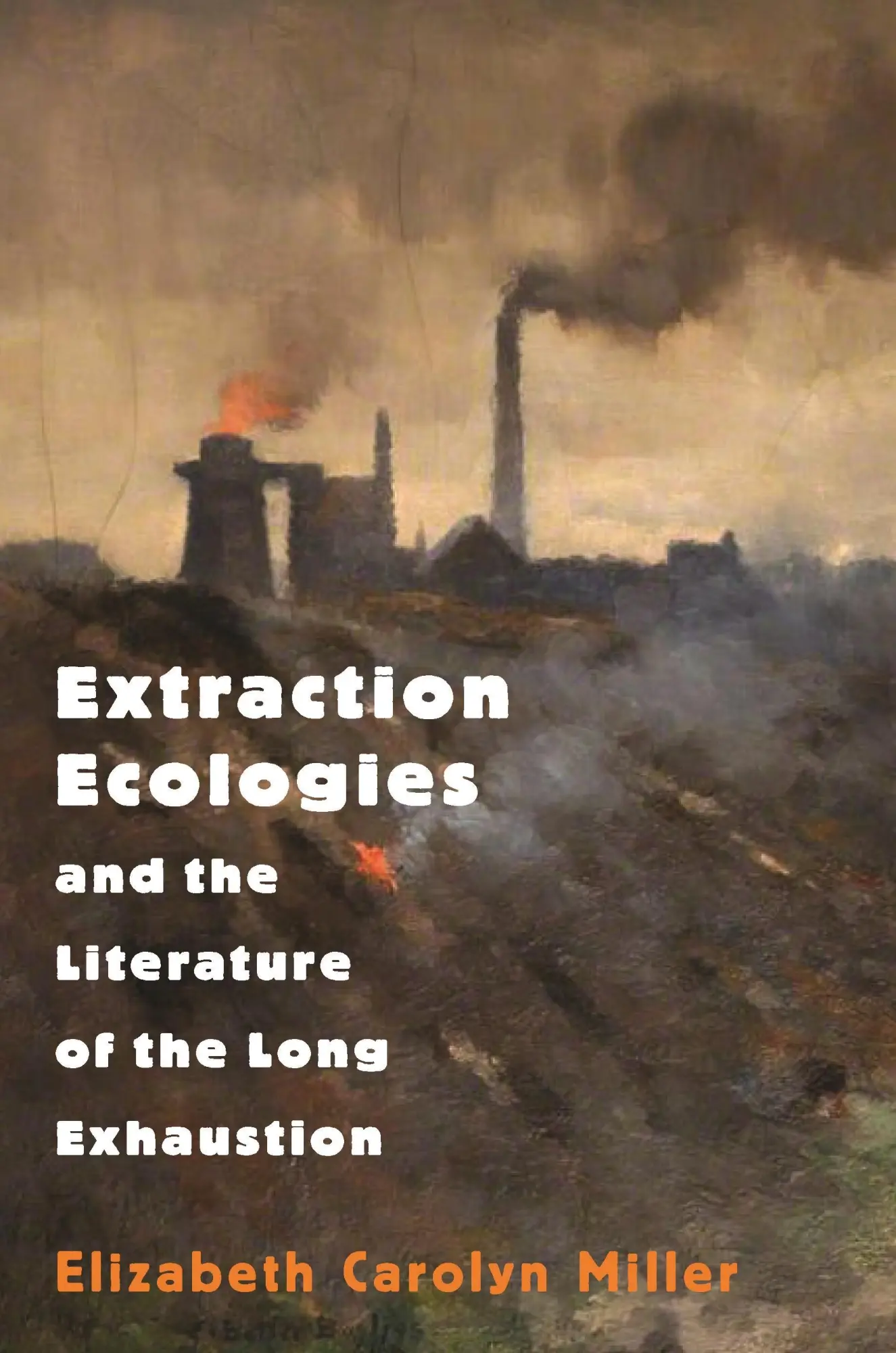 Cover: 9780691205533 | Extraction Ecologies and the Literature of the Long Exhaustion | Buch