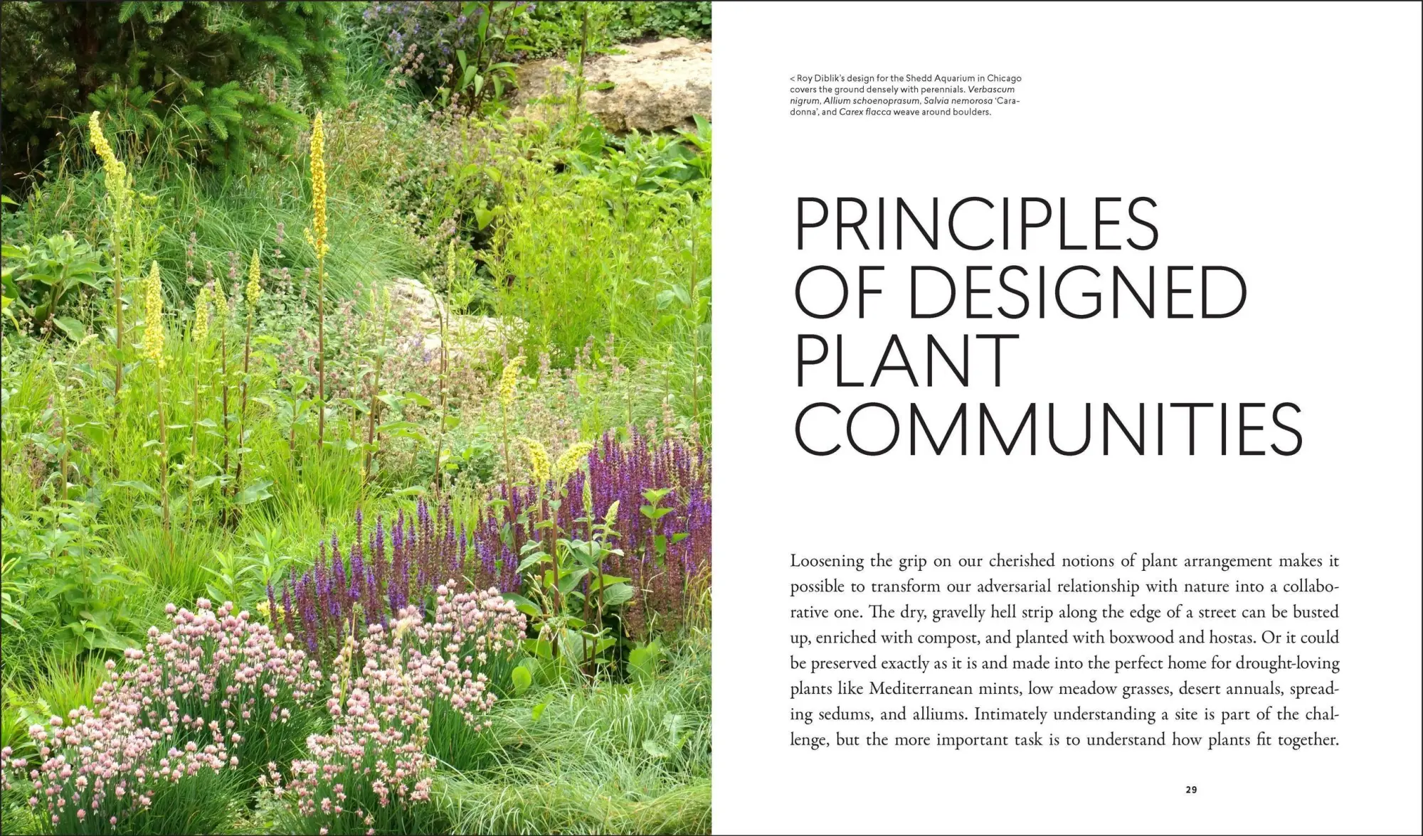 Bild: 9781604695533 | Planting in a Post-Wild World | Thomas Rainer (u. a.) | Buch | 2015
