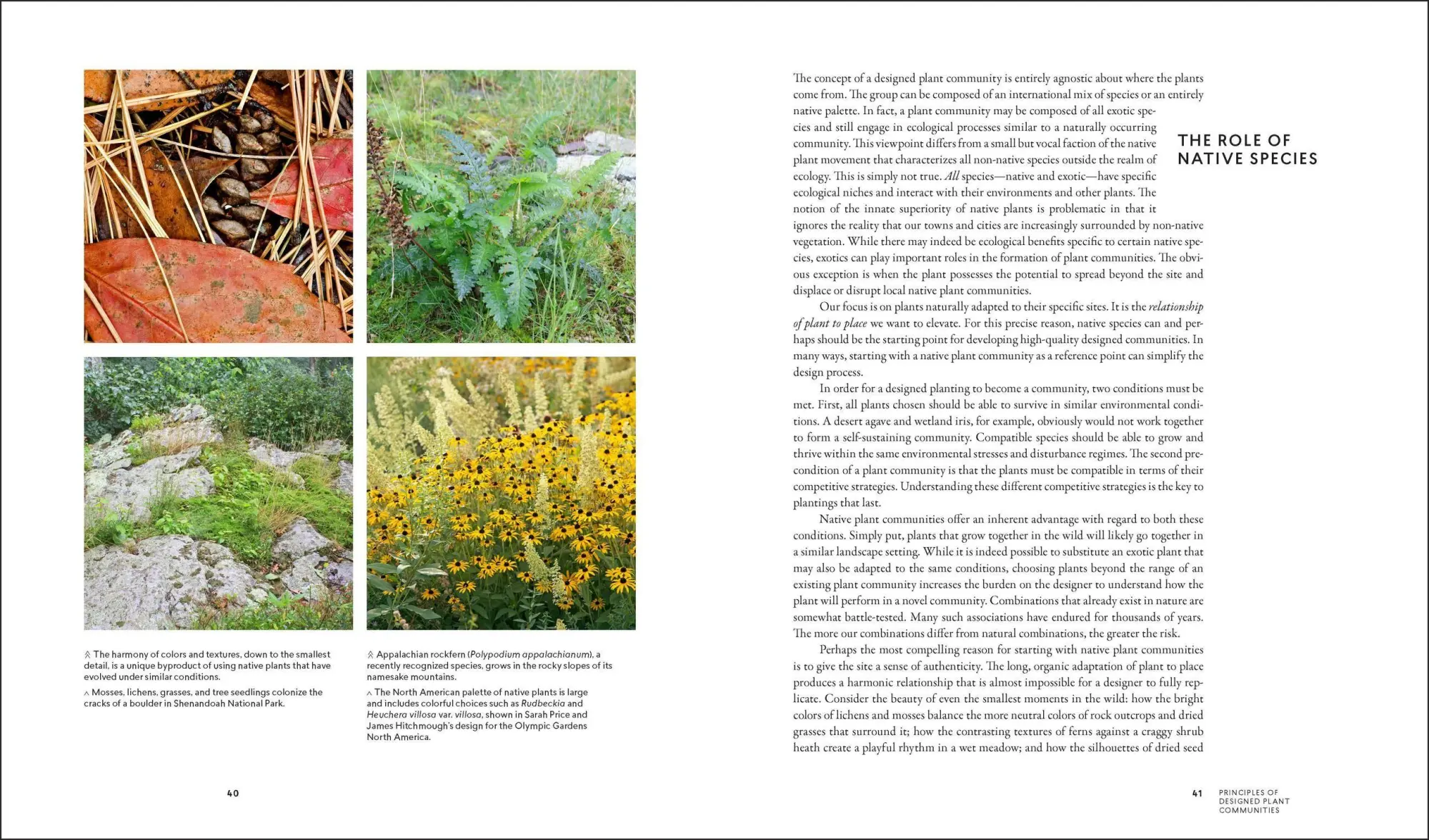 Bild: 9781604695533 | Planting in a Post-Wild World | Thomas Rainer (u. a.) | Buch | 2015