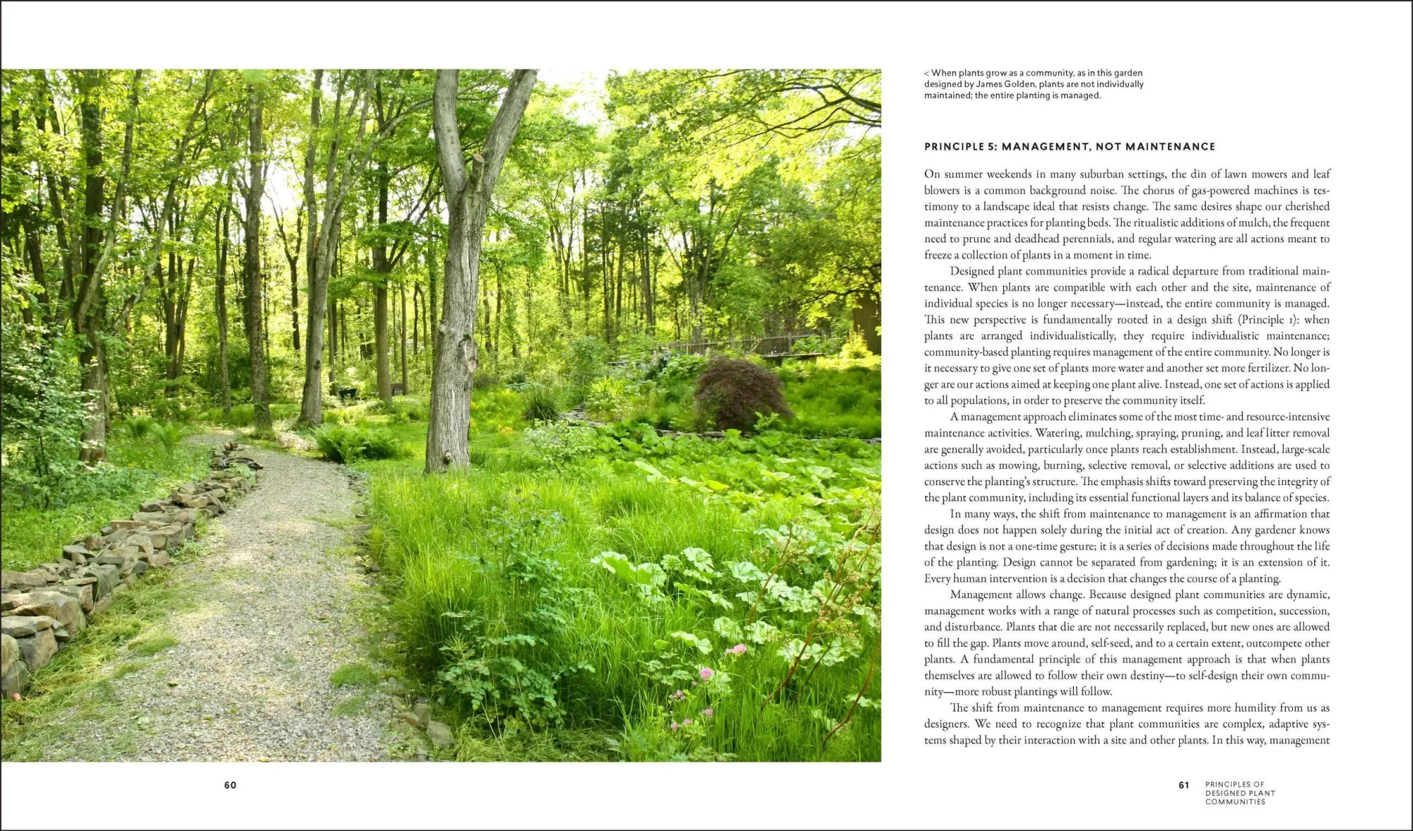 Bild: 9781604695533 | Planting in a Post-Wild World | Thomas Rainer (u. a.) | Buch | 2015