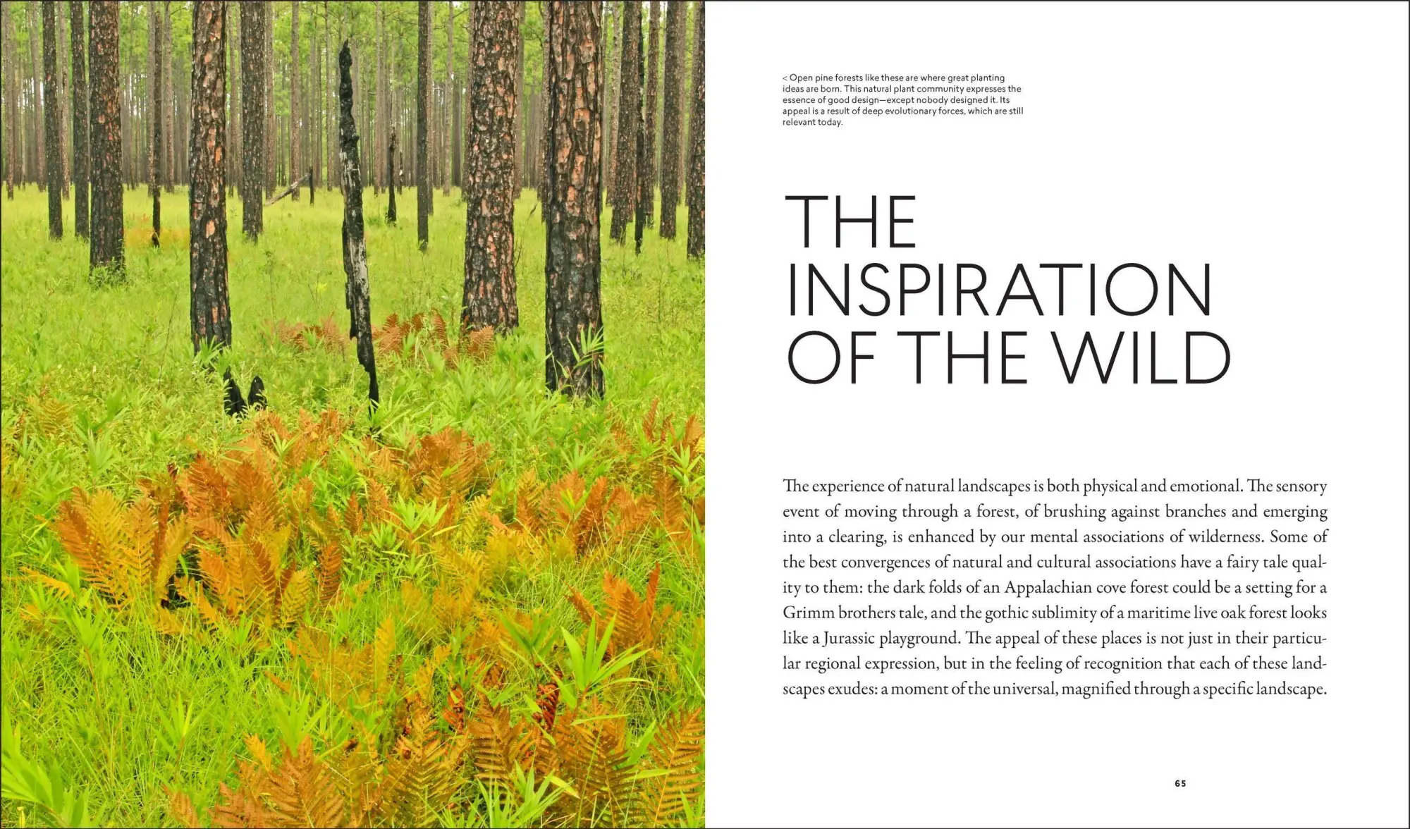Bild: 9781604695533 | Planting in a Post-Wild World | Thomas Rainer (u. a.) | Buch | 2015