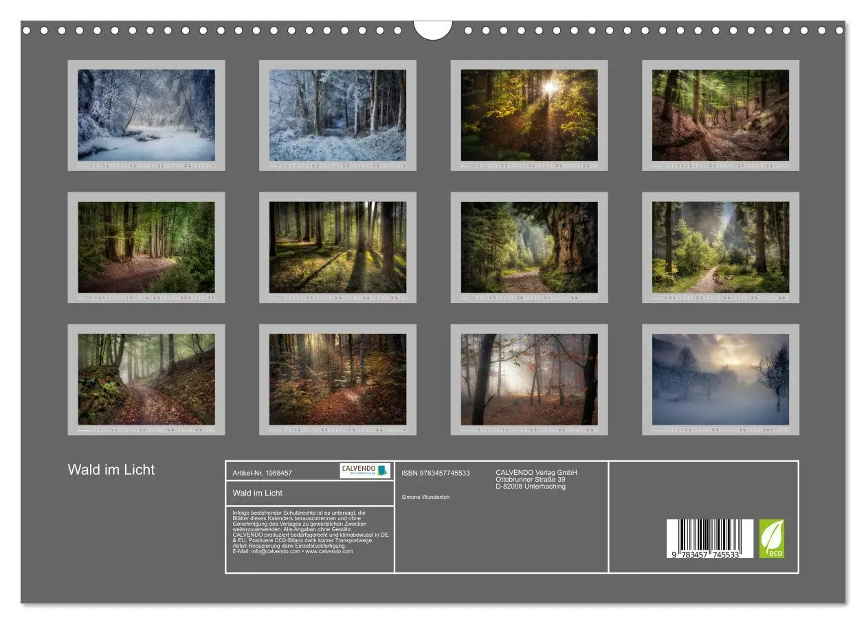 Bild: 9783457745533 | Wald im Licht (Wandkalender 2026 DIN A3 quer), CALVENDO Monatskalender