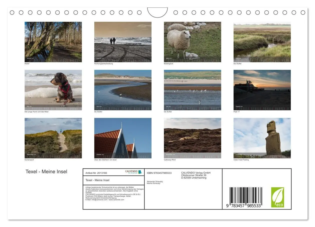 Bild: 9783457985533 | Texel - Meine Insel (Wandkalender 2026 DIN A4 quer), CALVENDO...