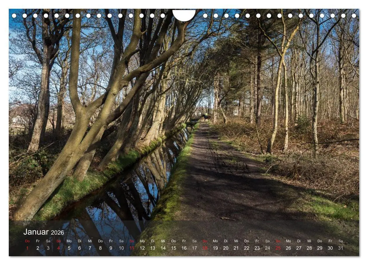 Bild: 9783457985533 | Texel - Meine Insel (Wandkalender 2026 DIN A4 quer), CALVENDO...