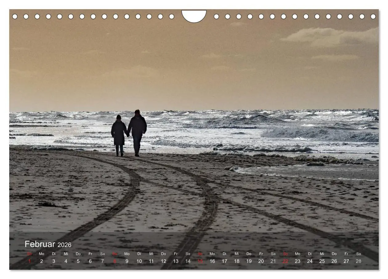 Bild: 9783457985533 | Texel - Meine Insel (Wandkalender 2026 DIN A4 quer), CALVENDO...