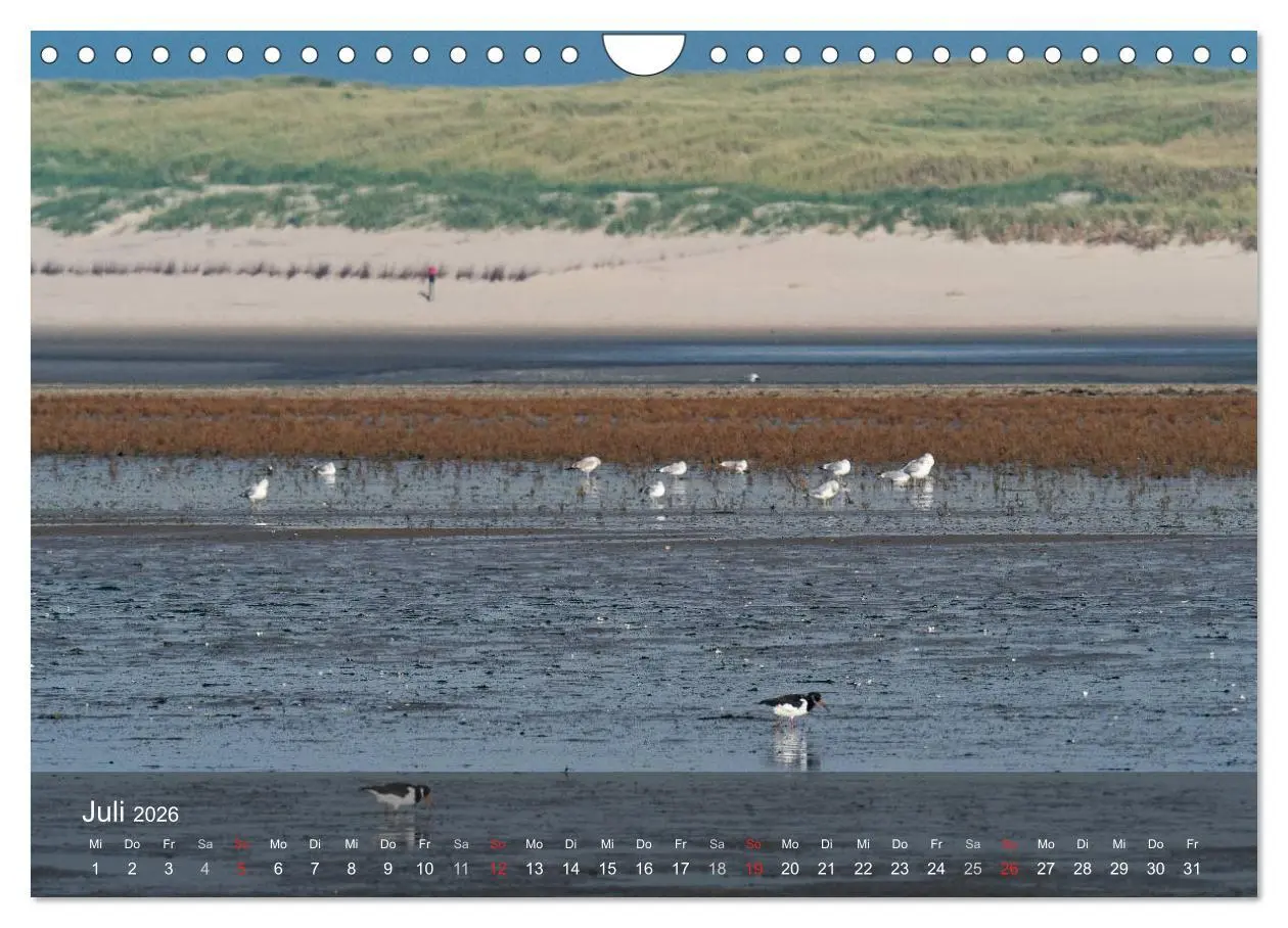 Bild: 9783457985533 | Texel - Meine Insel (Wandkalender 2026 DIN A4 quer), CALVENDO...