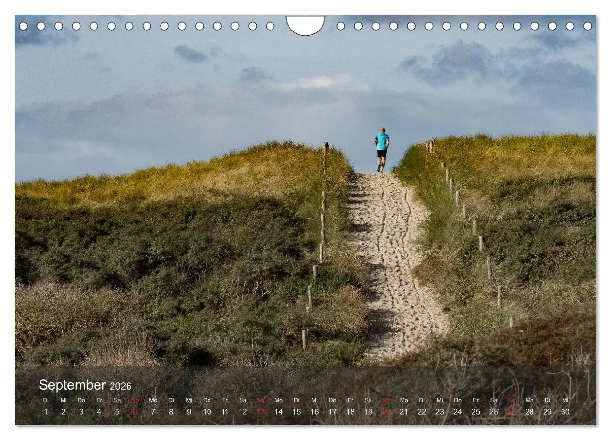 Bild: 9783457985533 | Texel - Meine Insel (Wandkalender 2026 DIN A4 quer), CALVENDO...