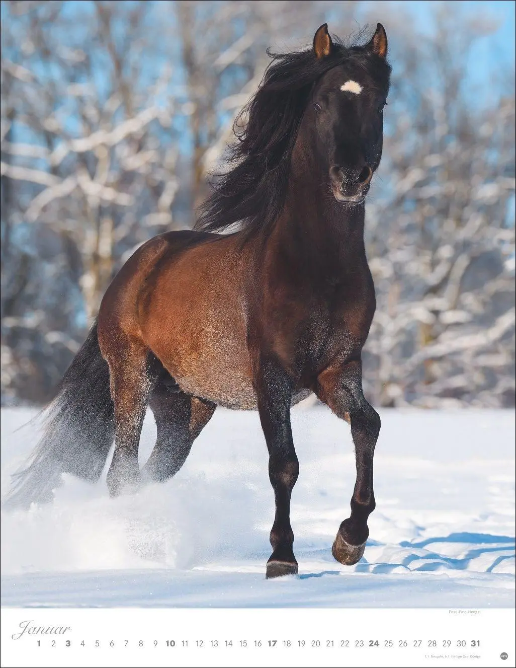 Bild: 9783756415533 | Pferde Classics Posterkalender 2027 | Sabine Stuewer | Kalender | 2027