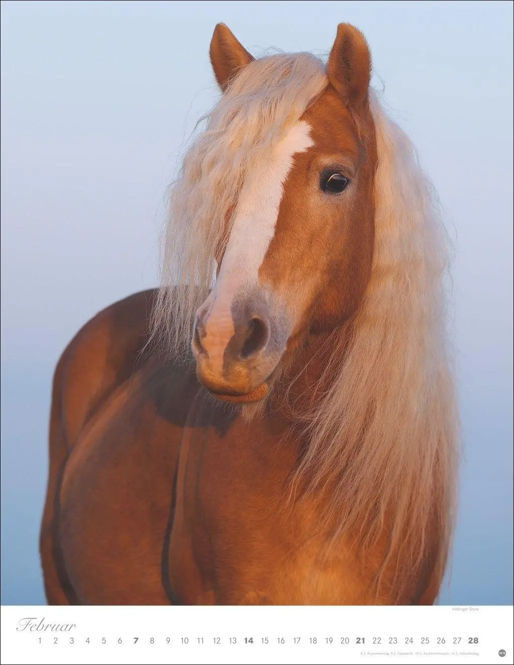 Bild: 9783756415533 | Pferde Classics Posterkalender 2027 | Sabine Stuewer | Kalender | 2027