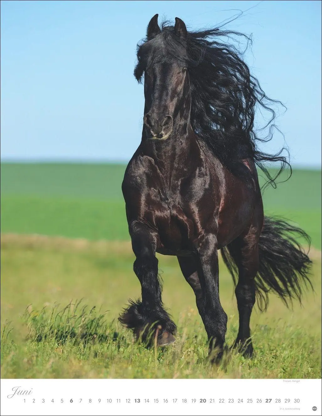 Bild: 9783756415533 | Pferde Classics Posterkalender 2027 | Sabine Stuewer | Kalender | 2027